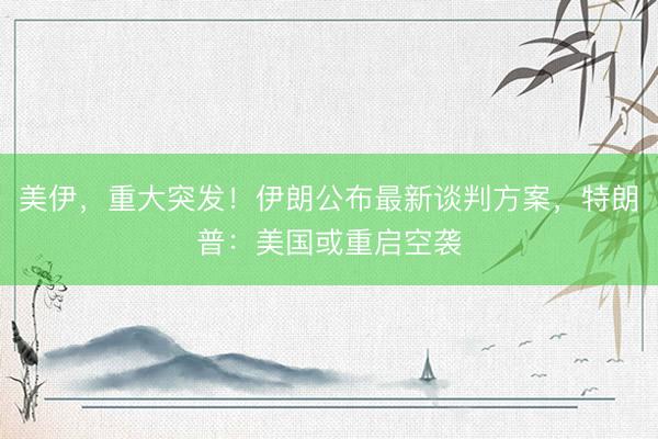 美伊，重大突发！伊朗公布最新谈判方案，特朗普：美国或重启空袭