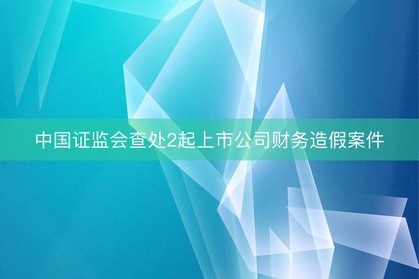中国证监会查处2起上市公司财务造假案件