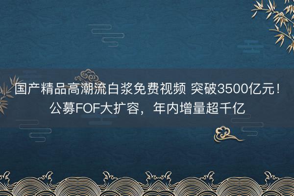 国产精品高潮流白浆免费视频 突破3500亿元！公募FOF大扩容，年内增量超千亿