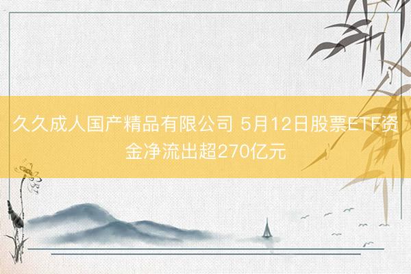 久久成人国产精品有限公司 5月12日股票ETF资金净流出超270亿元