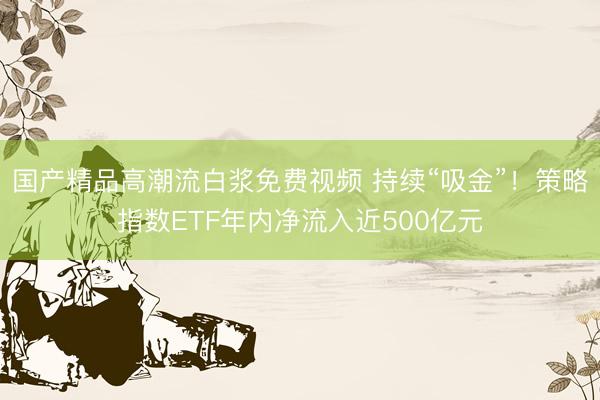 国产精品高潮流白浆免费视频 持续“吸金”！策略指数ETF年内净流入近500亿元