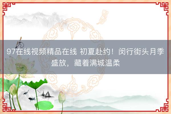 97在线视频精品在线 初夏赴约!闵行街头月季盛放,藏着满城温柔