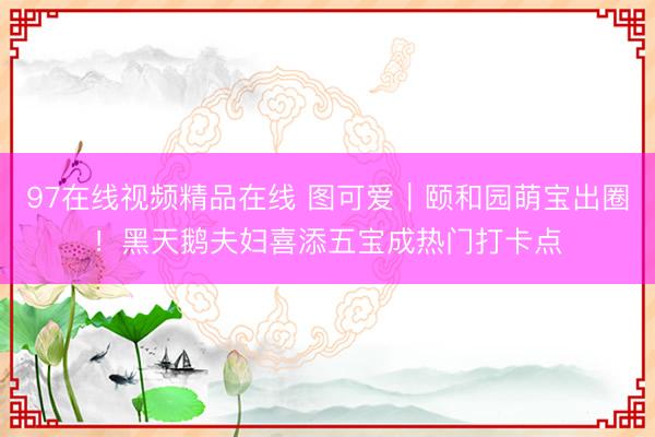 97在线视频精品在线 图可爱｜颐和园萌宝出圈！黑天鹅夫妇喜添五宝成热门打卡点
