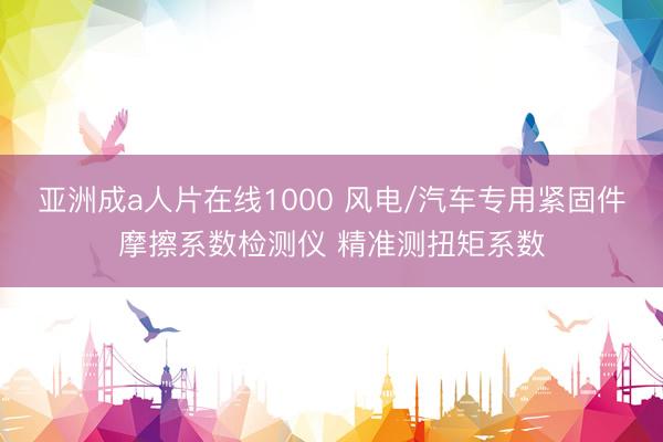 亚洲成a人片在线1000 风电/汽车专用紧固件摩擦系数检测仪 精准测扭矩系数