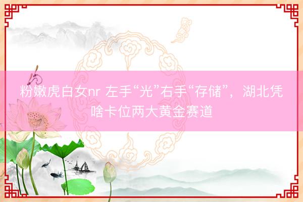 粉嫩虎白女nr 左手“光”右手“存储”，湖北凭啥卡位两大黄金赛道