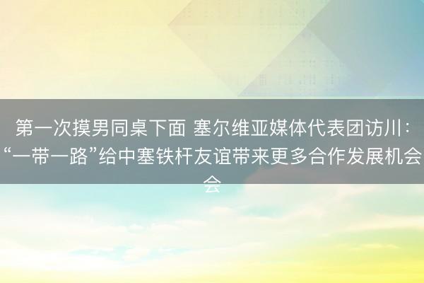 第一次摸男同桌下面 塞尔维亚媒体代表团访川：“一带一路”给中塞铁杆友谊带来更多合作发展机会