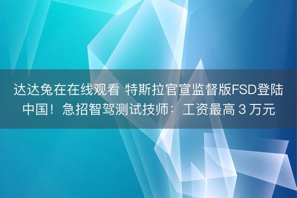 达达兔在在线观看 特斯拉官宣监督版FSD登陆中国！急招智驾测试技师：工资最高３万元