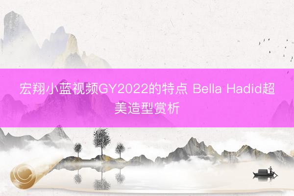 宏翔小蓝视频GY2022的特点 Bella Hadid超美造型赏析