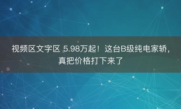 视频区文字区 5.98万起！这台B级纯电家轿，真把价格打下来了