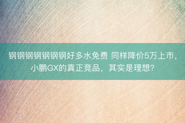 钢钢钢钢钢钢钢好多水免费 同样降价5万上市，小鹏GX的真正竞品，其实是理想？