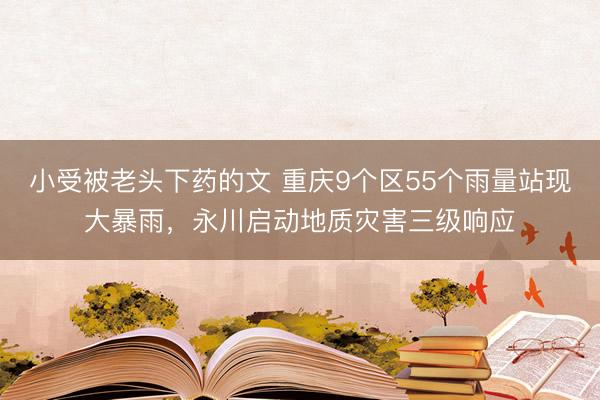 小受被老头下药的文 重庆9个区55个雨量站现大暴雨，永川启动地质灾害三级响应