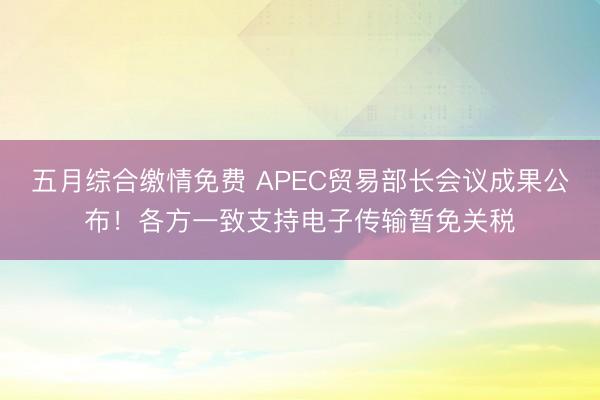 五月综合缴情免费 APEC贸易部长会议成果公布！各方一致支持电子传输暂免关税