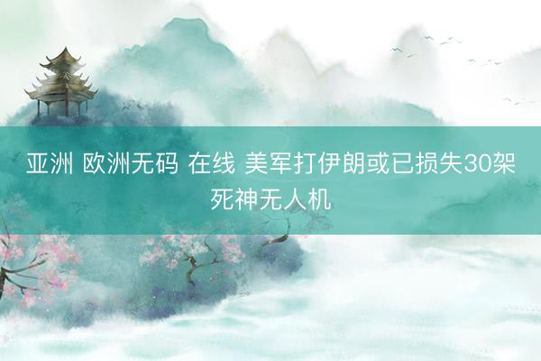 亚洲 欧洲无码 在线 美军打伊朗或已损失30架死神无人机