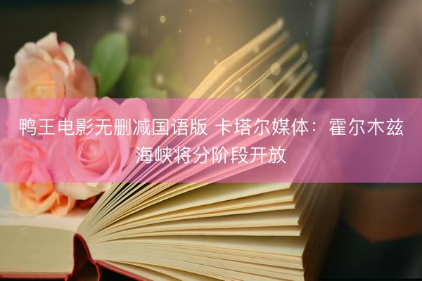 鸭王电影无删减国语版 卡塔尔媒体：霍尔木兹海峡将分阶段开放
