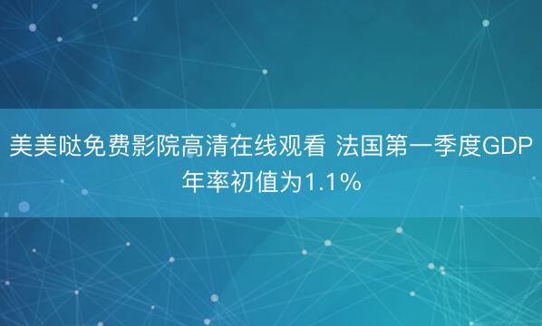 美美哒免费影院高清在线观看 法国第一季度GDP年率初值为1.1%