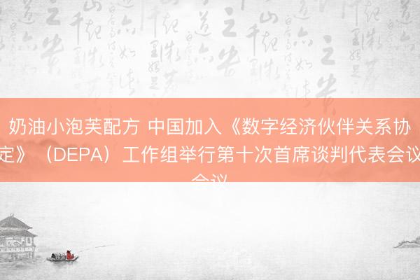奶油小泡芙配方 中国加入《数字经济伙伴关系协定》（DEPA）工作组举行第十次首席谈判代表会议