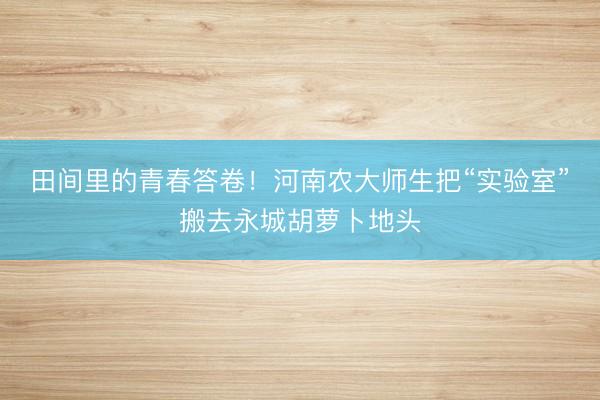 田间里的青春答卷！河南农大师生把“实验室”搬去永城胡萝卜地头