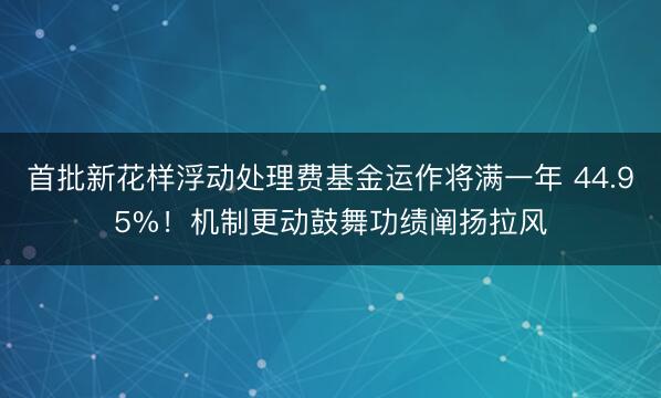 首批新花样浮动处理费基金运作将满一年 44.95%！机制更动鼓舞功绩阐扬拉风