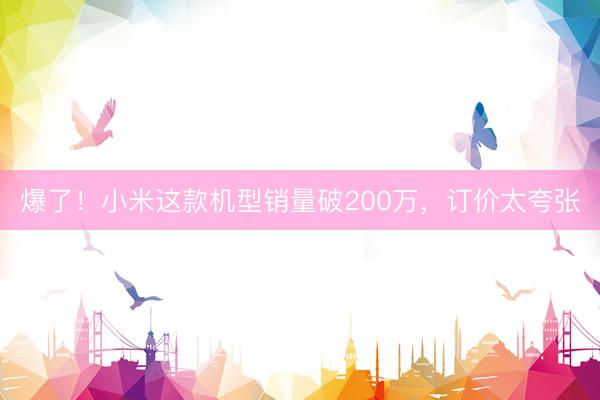 爆了!小米这款机型销量破200万,订价太夸张