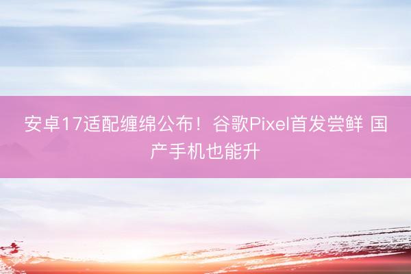 安卓17适配缠绵公布！谷歌Pixel首发尝鲜 国产手机也能升