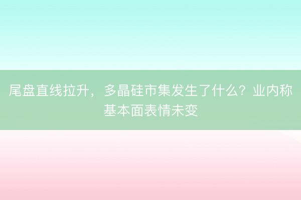 尾盘直线拉升，多晶硅市集发生了什么？业内称基本面表情未变