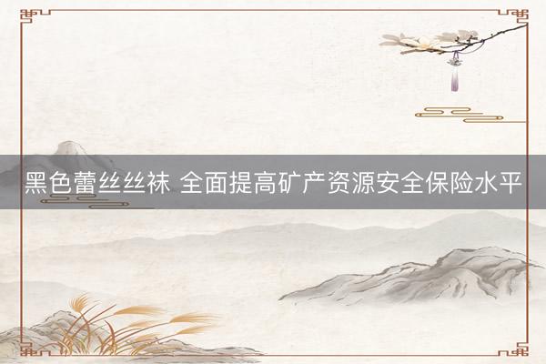 黑色蕾丝丝袜 全面提高矿产资源安全保险水平