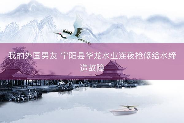 我的外国男友 宁阳县华龙水业连夜抢修给水缔造故障