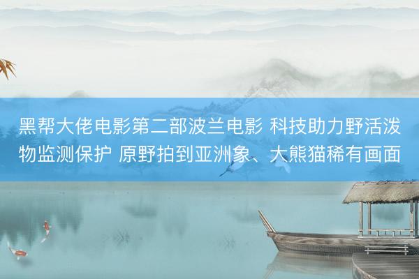 黑帮大佬电影第二部波兰电影 科技助力野活泼物监测保护 原野拍到亚洲象、大熊猫稀有画面