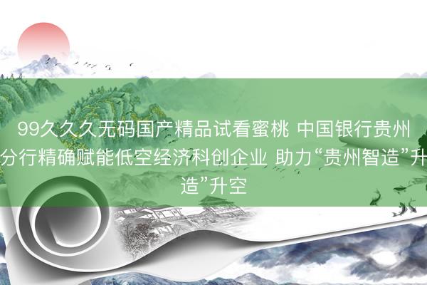 99久久久无码国产精品试看蜜桃 中国银行贵州省分行精确赋能低空经济科创企业 助力“贵州智造”升空