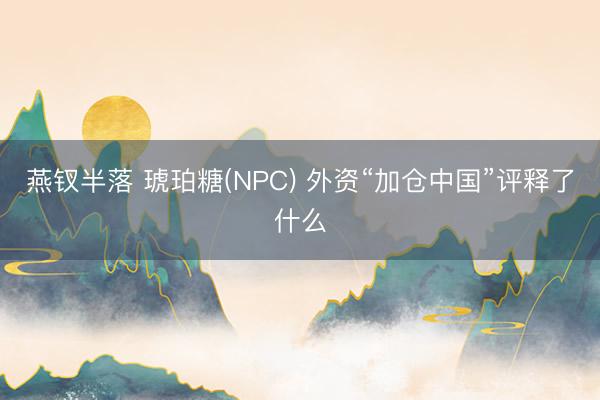 燕钗半落 琥珀糖(NPC) 外资“加仓中国”评释了什么