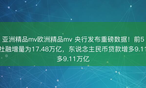 亚洲精品mv欧洲精品mv 央行发布重磅数据！前5个月社融增量为17.48万亿，东说念主民币贷款增多9.11万亿