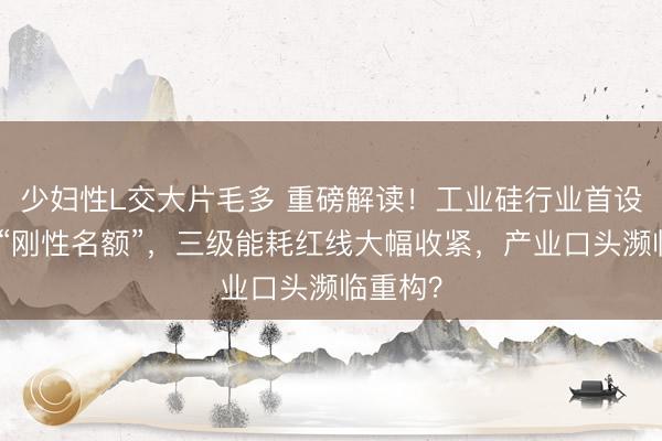 少妇性L交大片毛多 重磅解读！工业硅行业首设碳排放“刚性名额”，三级能耗红线大幅收紧，产业口头濒临重构？
