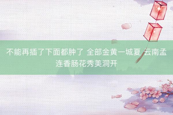 不能再插了下面都肿了 全部金黄一城夏 云南孟连香肠花秀美洞开