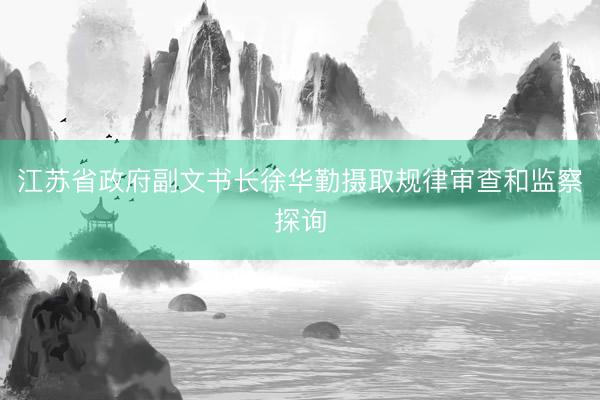 江苏省政府副文书长徐华勤摄取规律审查和监察探询