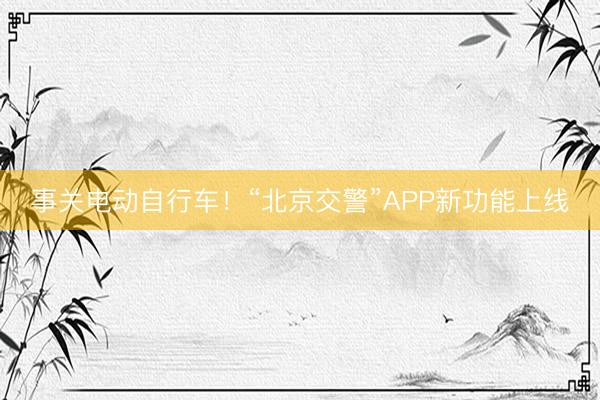 事关电动自行车！“北京交警”APP新功能上线
