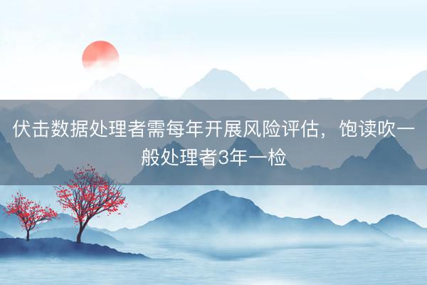 伏击数据处理者需每年开展风险评估，饱读吹一般处理者3年一检