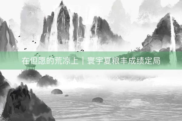 在但愿的荒凉上｜寰宇夏粮丰成绩定局